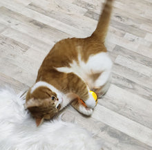 Load image into Gallery viewer, Intelligent Escaping Fun Toy For Pets or Kids
